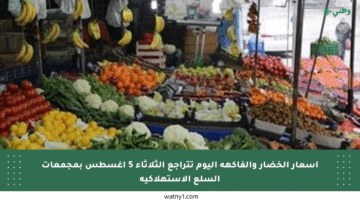 أسعار الخضار والفاكهة اليوم تتراجع الثلاثاء 5 أغسطس بمجمعات السلع الاستهلاكية